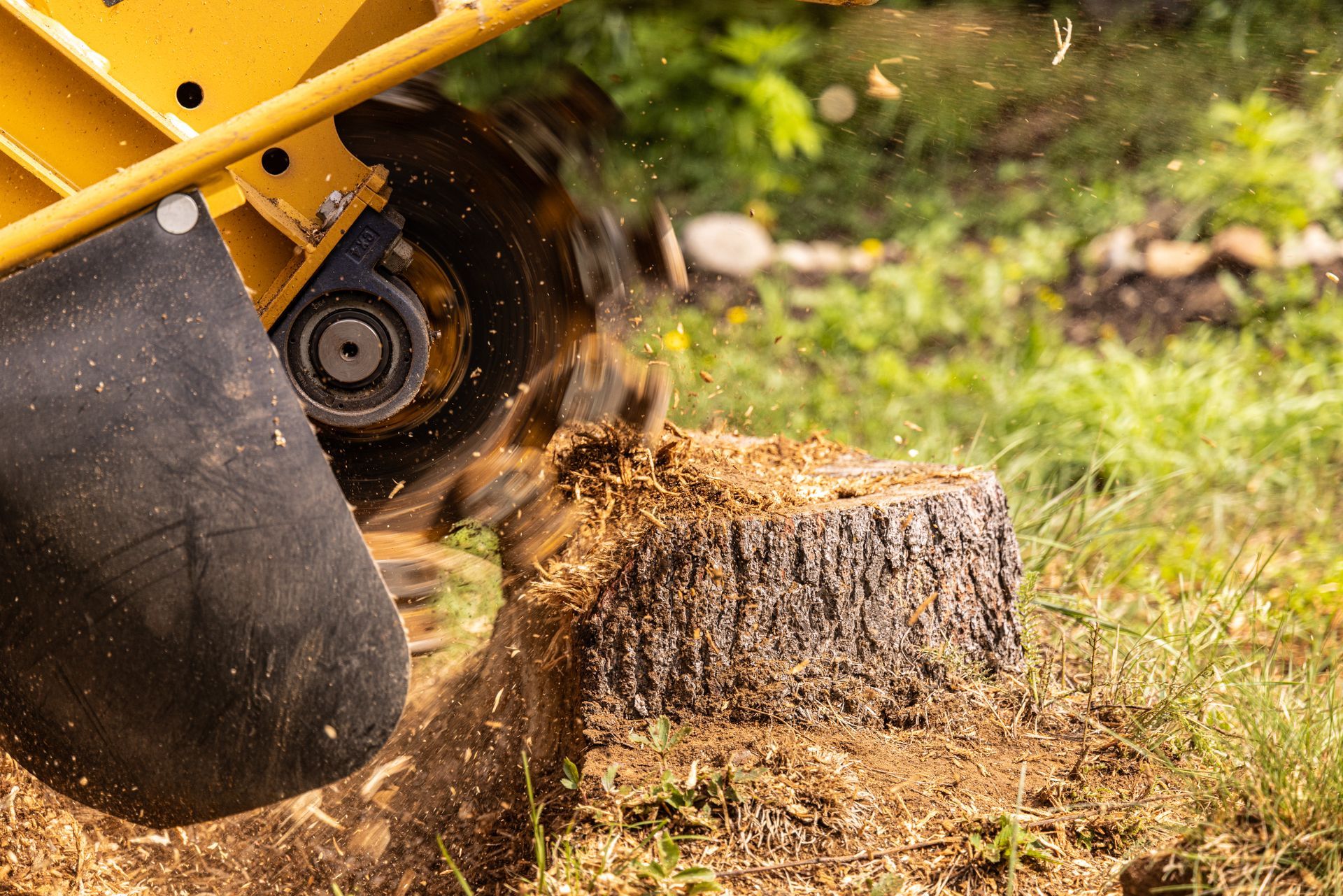 Abattage d&rsquo;arbre à Genay et dessouchage : bénéficiez de prestations complètes
