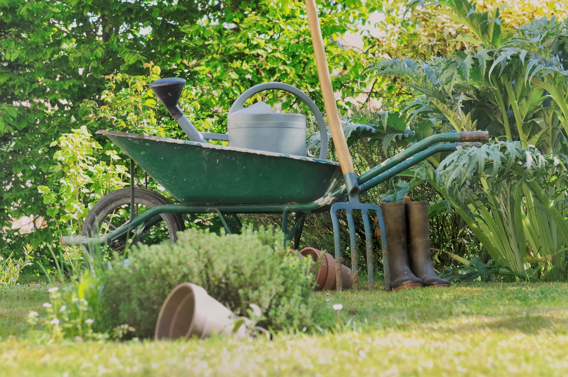 Entretien des espaces verts à Genay : conservez un jardin sain et bien entretenu