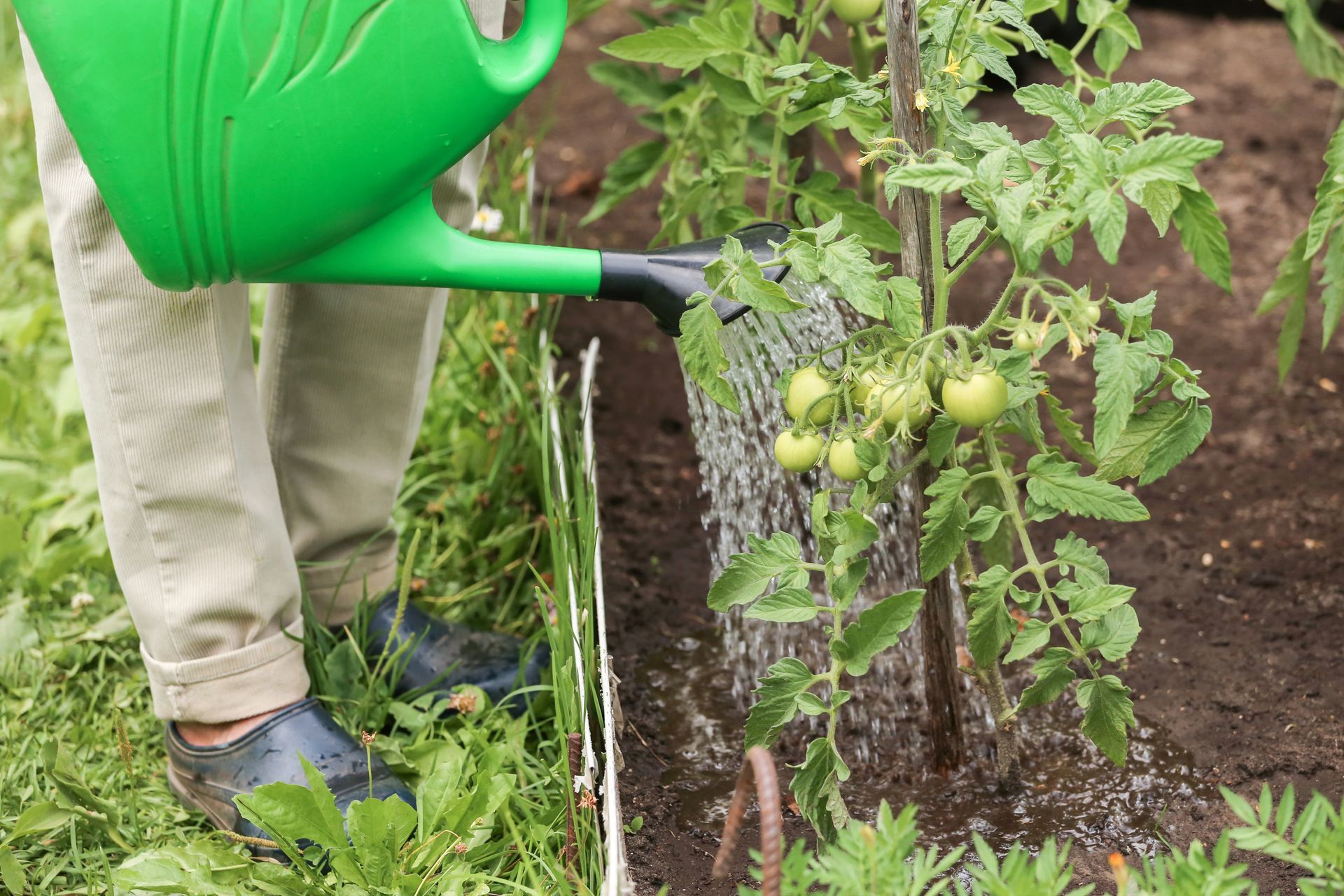 Entretien de jardin à Caluire-et-Cuire : bénéficiez des services à la personne