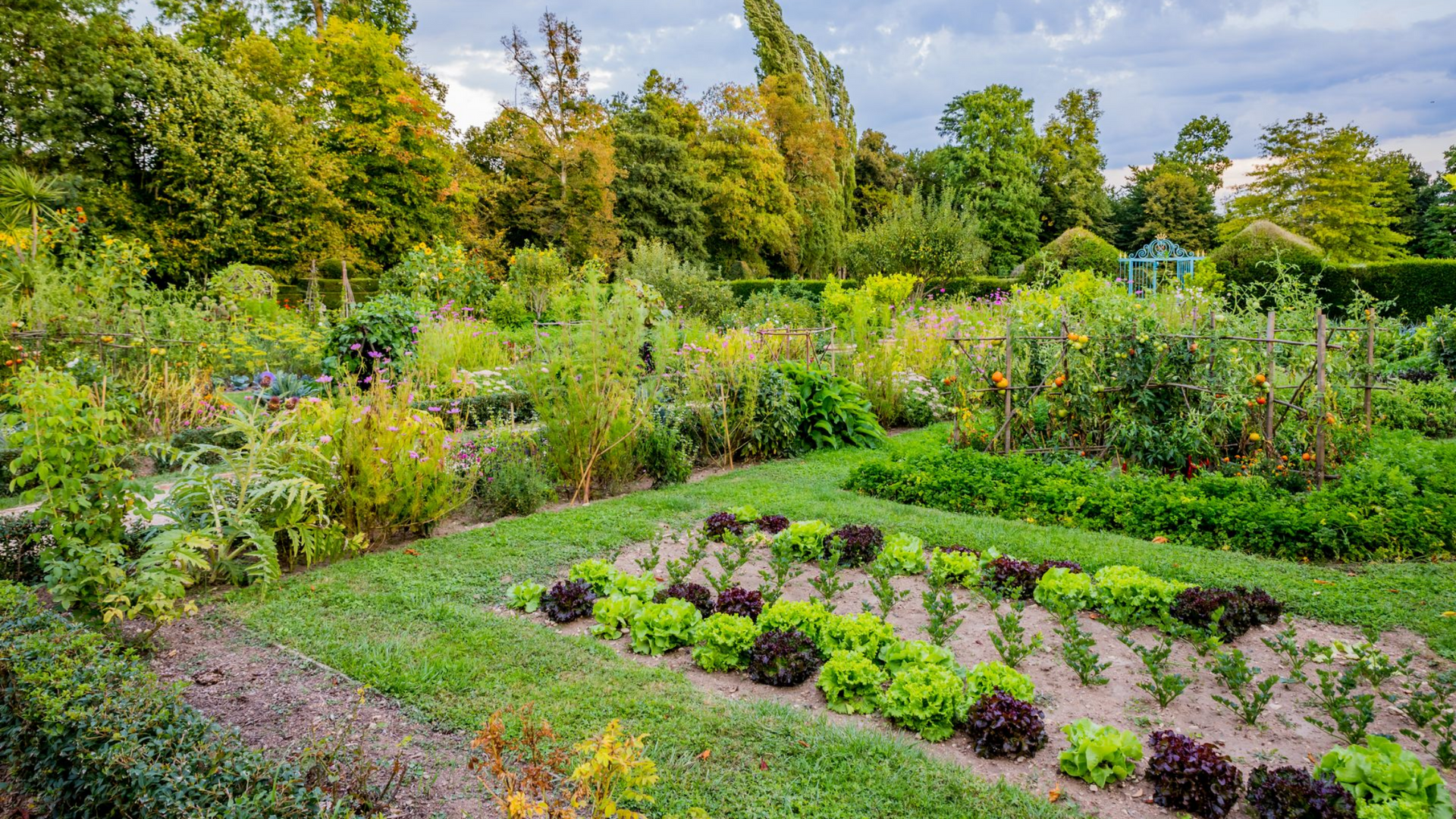Entretien de jardins à Genay : embellissez votre potager avec soin et expertise