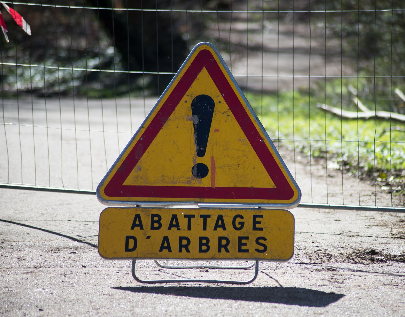 Abattage d&rsquo;arbre à Belleville-en-Beaujolais : faites appel à notre entreprise