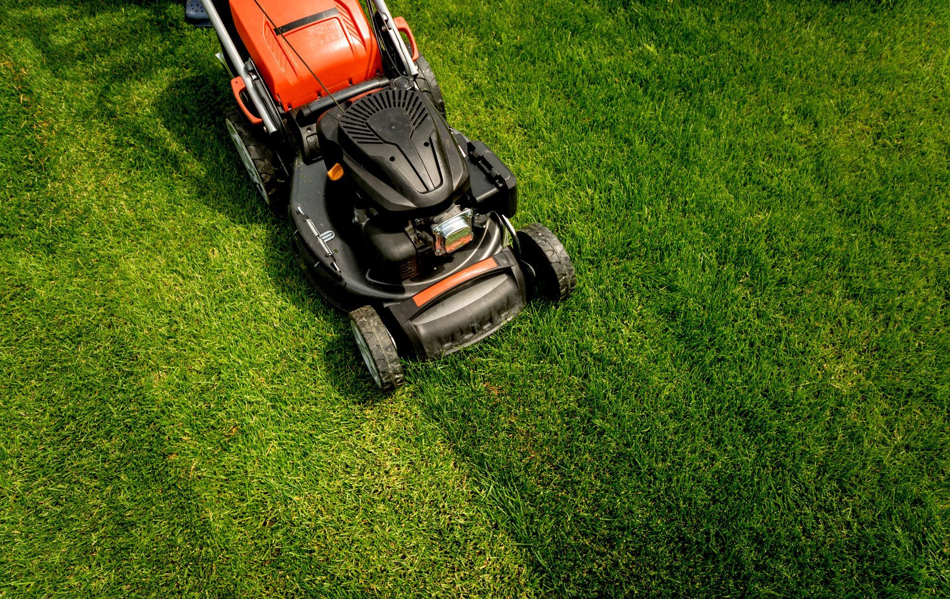 Tonte de pelouse à Genay : retrouvez un jardin verdoyant et bien entretenu