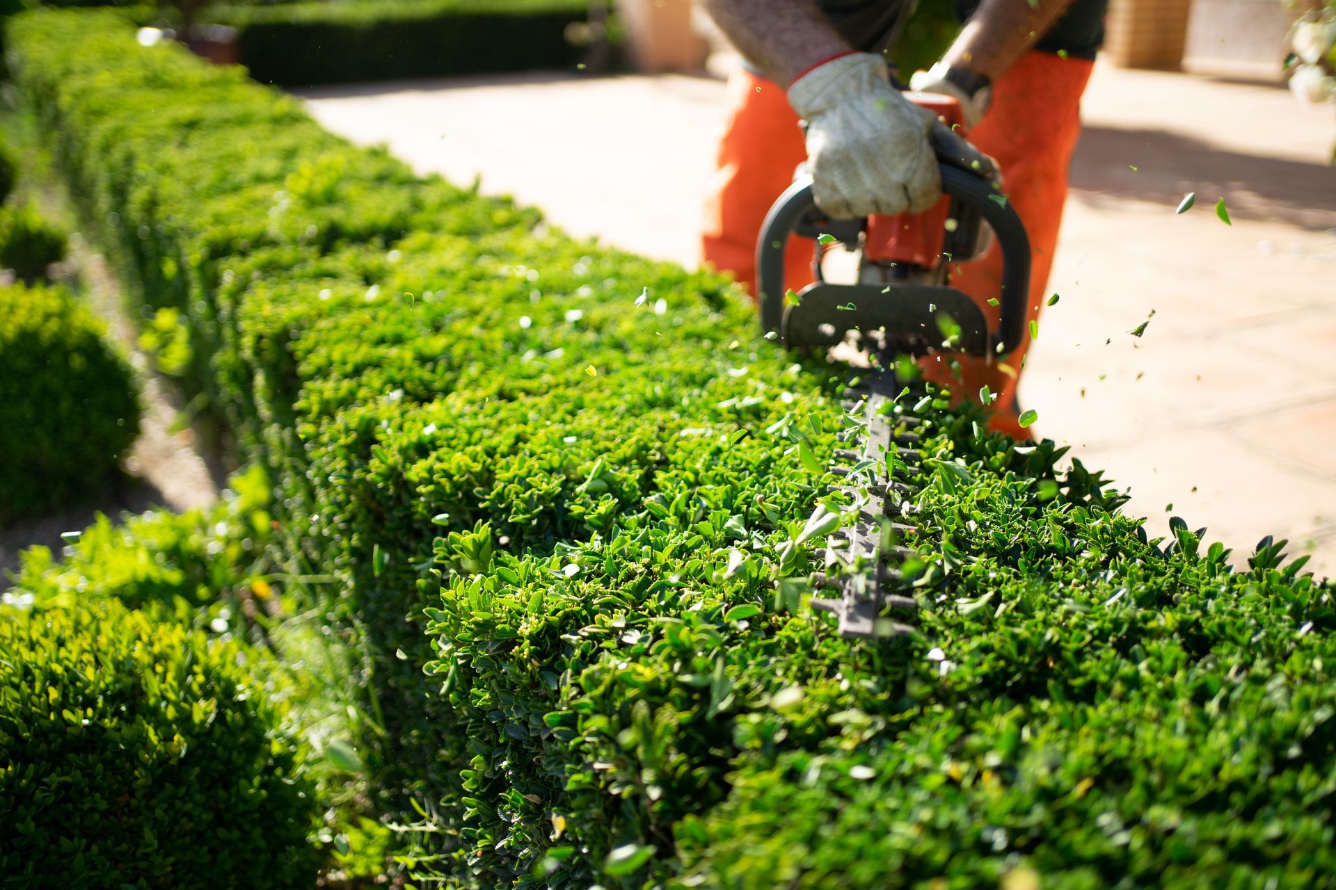 Bouvier Sébastien, paysagiste à Neuville-sur-Saône, au service de vos espaces verts