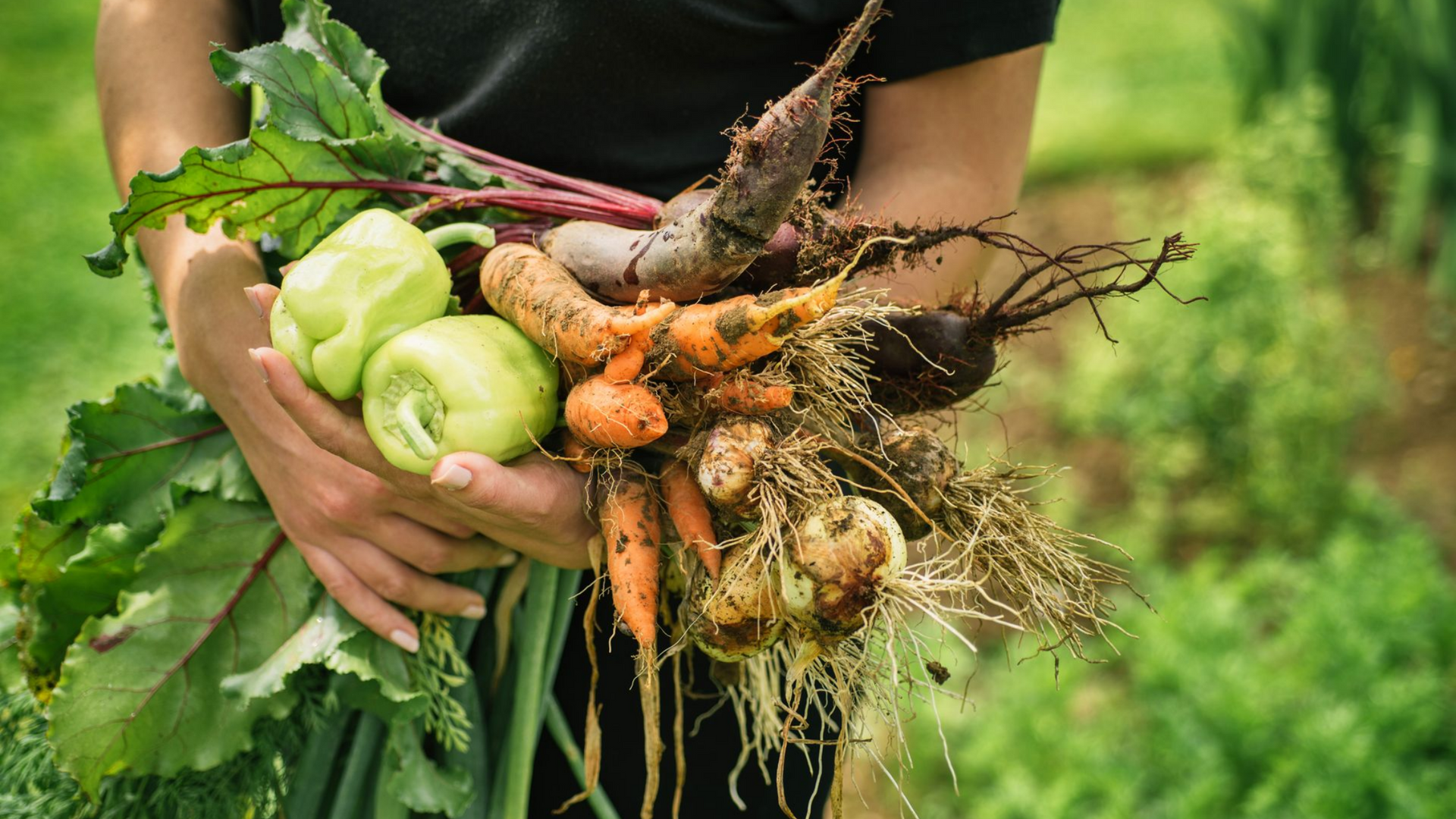 Entretien de jardin à Caluire-et-Cuire : bénéficiez des services à la personne